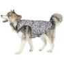 Trespass Charly Printed Rain Hundejacke