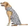 Trespass Charly Printed Rain Hundejacke