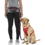Trespass Chester Führleine, Carbon, One Size