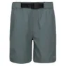 Spruce green