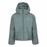 Spruce green
