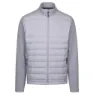 Gull grey