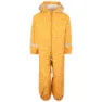 Honeybee 1