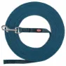 Petrol blue