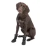 Trixie Activ Large Hundeschuhe