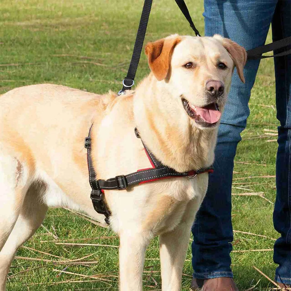 Trixie Lead N Walk Soft Hundegeschirr Trixie Lead N Walk Soft Hundegeschirr
