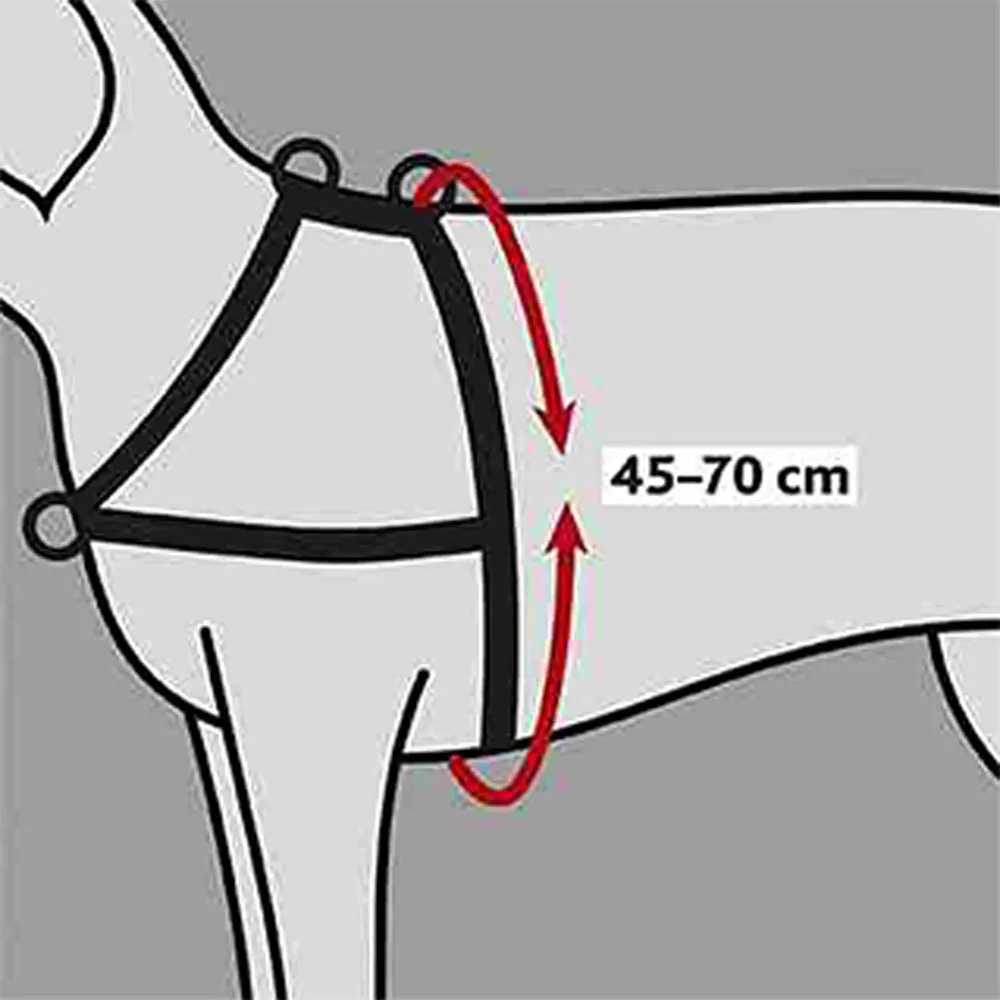 Trixie Lead N Walk Soft Hundegeschirr Trixie Lead N Walk Soft Hundegeschirr