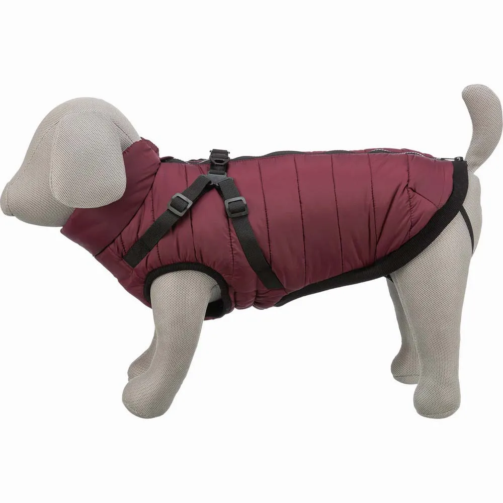 Trixie Pirou Hundejacke