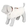 Trixie Siena Hundejacke, Beige, L
