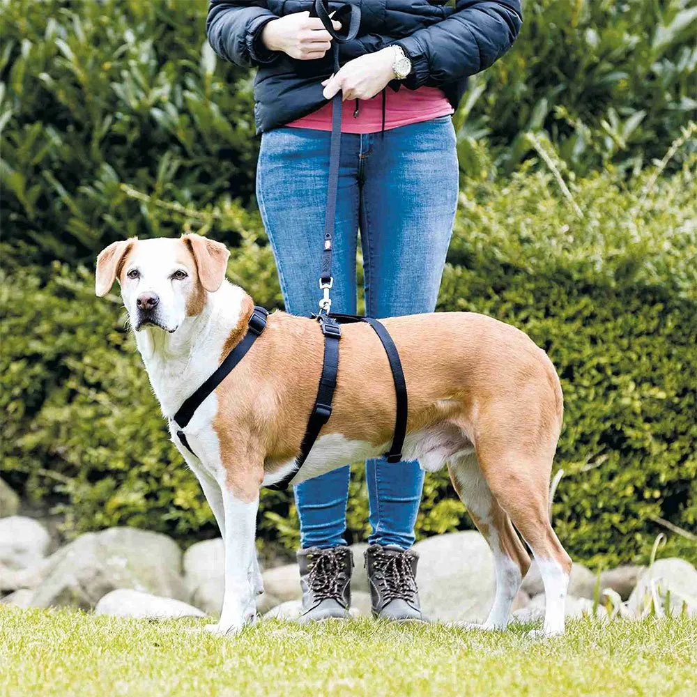 Trixie Stay Hundegeschirr Trixie Stay Hundegeschirr