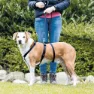 Trixie Stay Hundegeschirr