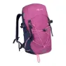 Mallow pink / violet blue / wild rose