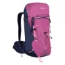 Mallow pink / violet blue / wild rose