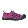 Mallow pink / violet blue