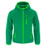 Dark green / light green
