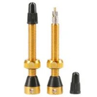 Tubolight Tubeless Ventile