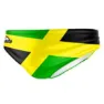 Yellow / green 1