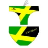 Yellow / green 2