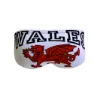 Turbo Wales Dragon Badeslip male