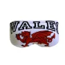 Turbo Wales Dragon Badeslip