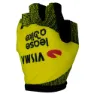 Tvl Team Visma Lease A Bike Replica 2025 Kurze Handschuhe