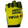 Tvl Team Visma Lease A Bike Replica 2025 Kurze Handschuhe