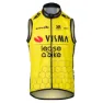 Tvl Team Visma Lease A Bike Replica 2025 Weste