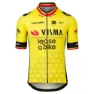 Tvl Team Visma Lease A Bike Replica Former Belgium Champion 2025 Kurzarm-radtrikot