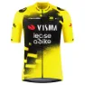 Tvl Team Visma Lease A Bike Replica Wingbeat Kurzarm-radtrikot