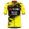 Tvl Team Visma Lease A Bike Replica Wingbeat Wout Van Aert Kurzarm-radtrikot