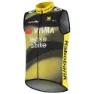 Tvl Team Visma Lease A Bike Tdf25 Replica Weste