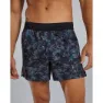 TYR Unbroken Unlined 5´´ Kurze Hose male, Slate / multi