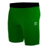 Fern green