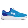 Electric blue / royal / white