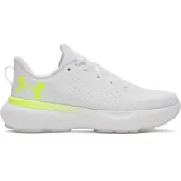 Under Armour Infinite Laufschuhe female