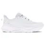 White / distant gray / halo gray 1