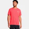 Racer red / reflective