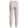 Under Armour Run Storm Hosen female
