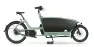 Urban Arrow FamilyNext Pro 800Wh Enviolo Lastenrad, Grün, Unisize