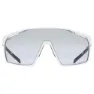 Uvex Mtn Perform Variomatic Photochrome Sonnenbrille