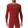 Sofisticated red / bordeaux / bordeaux 1
