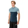 Nordic blue
