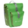 Parrot green