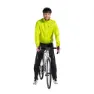 Bright green 1