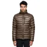 Deer brown