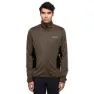 Deer brown