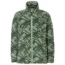 Willow green
