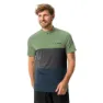 Willow green