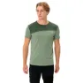 Willow green