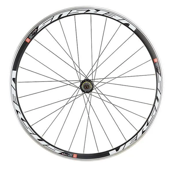 VELOX Hinterrad mit Kassette und Felge Versus 30 Moy Unisex, schwarz, 9/10/11 Geschwindigkeiten VELOX Hinterrad mit Kassette und Felge Versus 30 Moy Unisex, schwarz, 9/10/11 Geschwindigkeiten